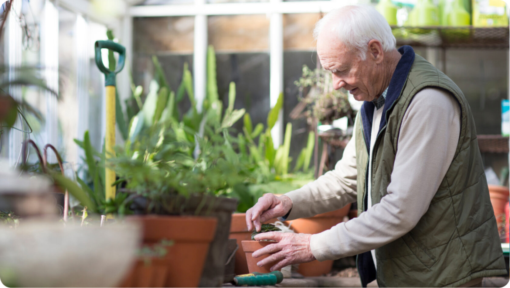 A man plants flowers in a greenhouse.